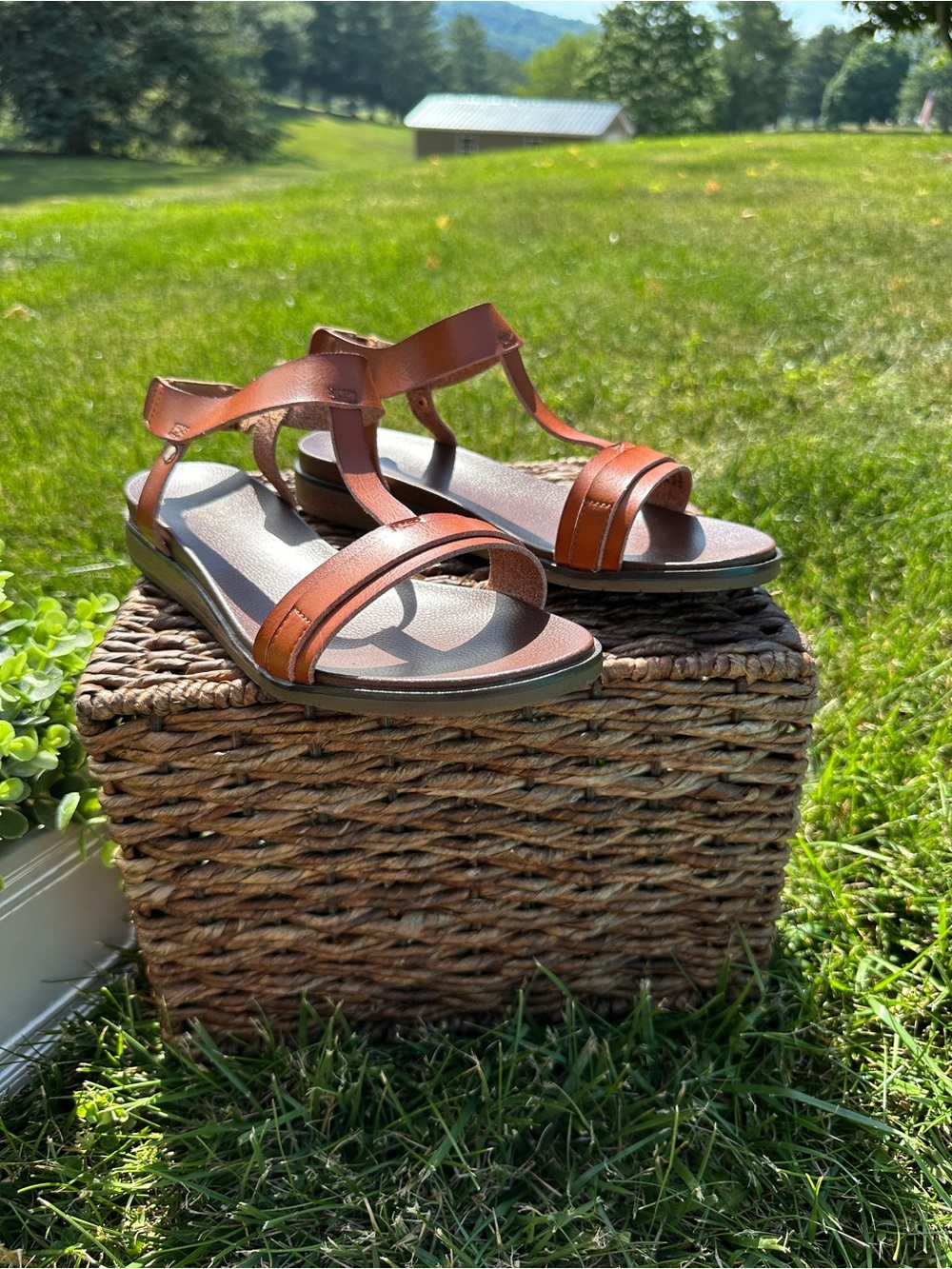 Women's Lauren Blackwell  Olivia Leather Strappy Flat Sandals